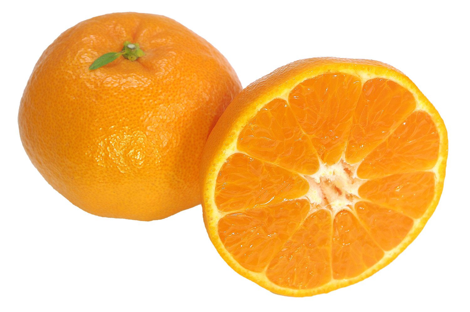 れいこう（麗紅）