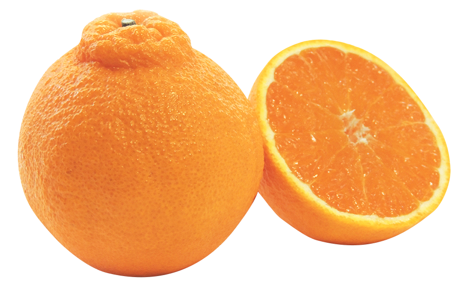 不知火（デコポン）